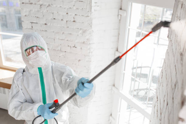 Best Black Mold Removal  in Pembroke, VA