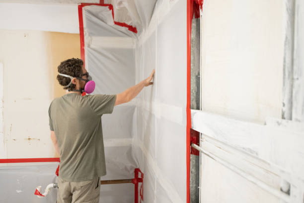 Pembroke, VA Mold Inspection, Removal & Remediation Company