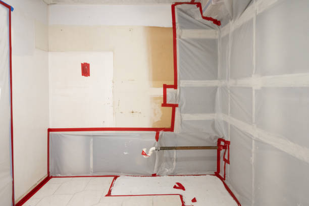 Best Biohazard Mold Removal  in Pembroke, VA